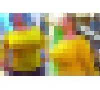 982605