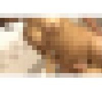 982645