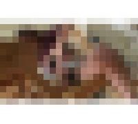 983781