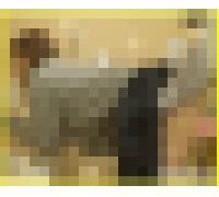 984319