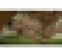 984382