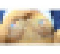 984499
