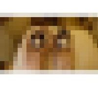988412