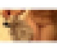 988478
