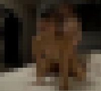 988697