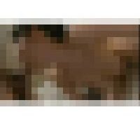 988743