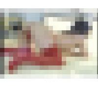 989038