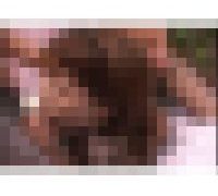 989386