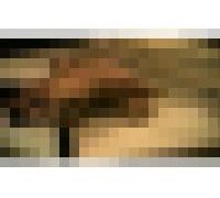 989502