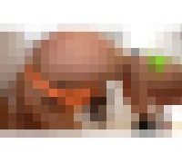 991421