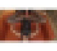 991454