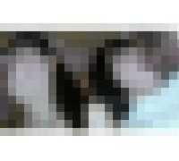 991497
