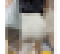 993501