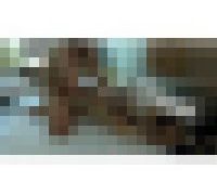 996669